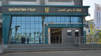 البنك الزراعي: 10% زيادة في توريد القمح المحلي خلال الموسم الحالي